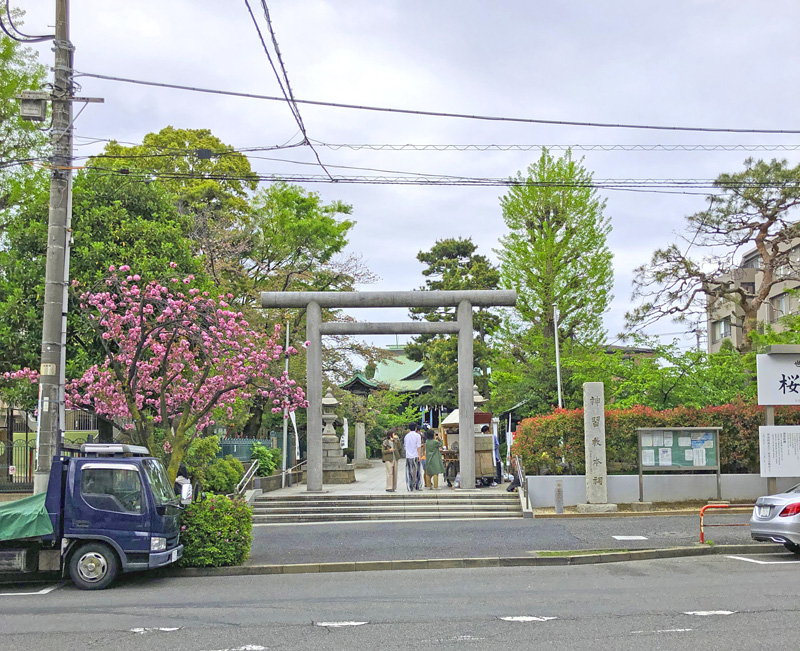 f:id:wave0131:20210406132106j:plain