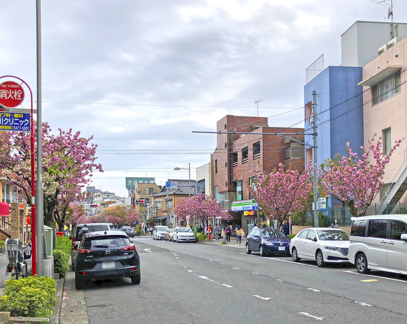 f:id:wave0131:20210406132110j:plain