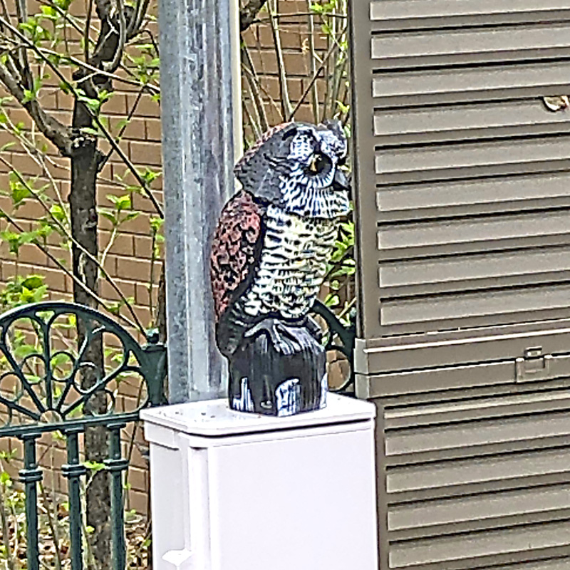 f:id:wave0131:20210406132158j:plain