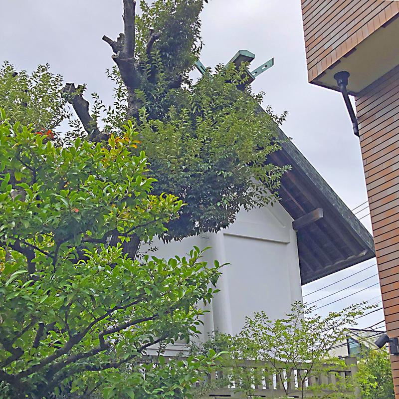 f:id:wave0131:20210406132216j:plain