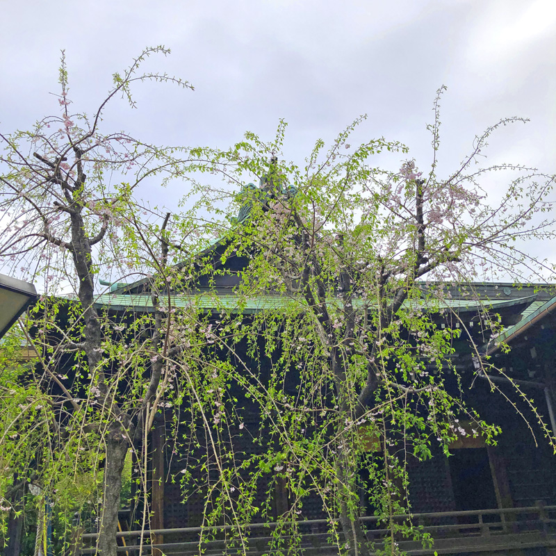 f:id:wave0131:20210406132224j:plain