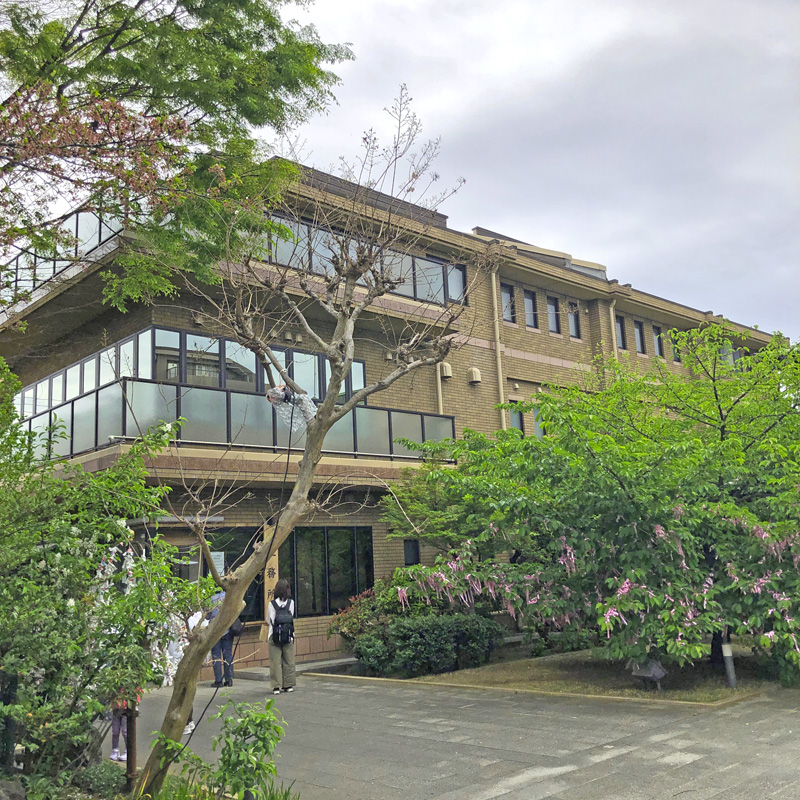 f:id:wave0131:20210406132233j:plain