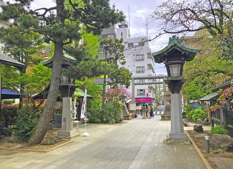 f:id:wave0131:20210406132237j:plain