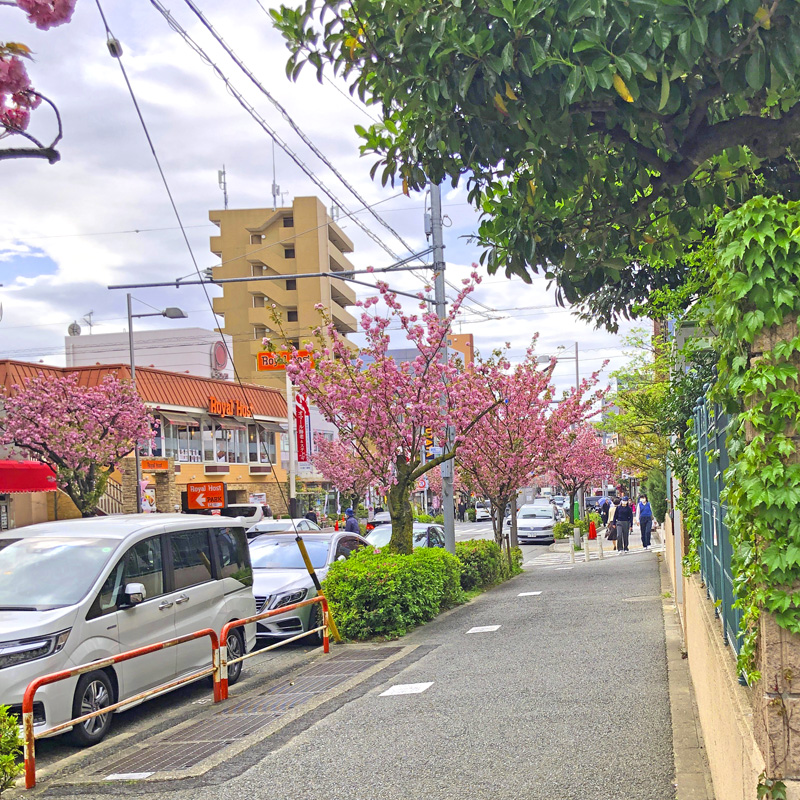 f:id:wave0131:20210406132246j:plain