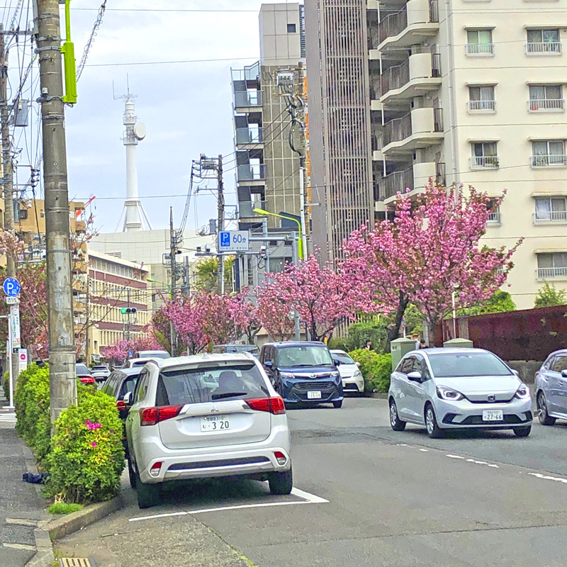 f:id:wave0131:20210406132254j:plain