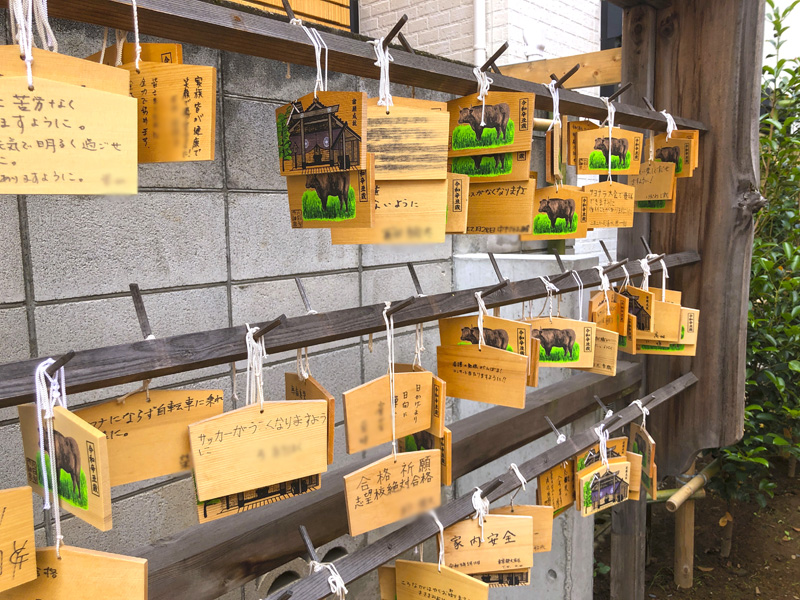 f:id:wave0131:20210621181639j:plain