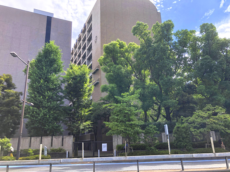 f:id:wave0131:20210621181740j:plain