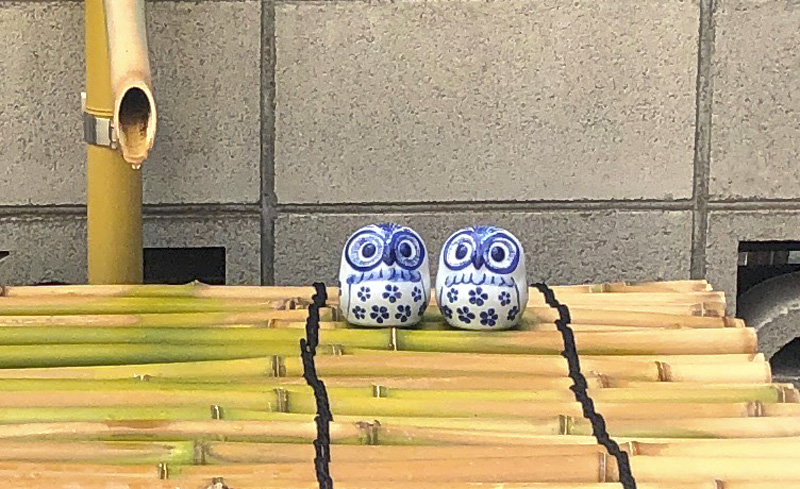 f:id:wave0131:20210621181750j:plain