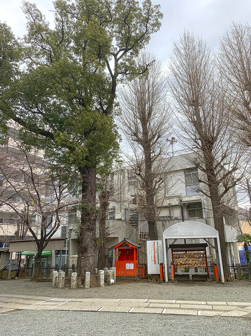 f:id:wave0131:20220414195948j:plain