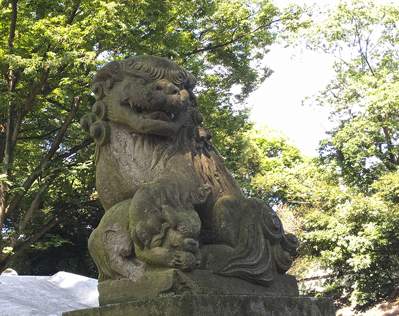 丸子山王 日枝神社の御朱印（川崎・中原区）〜子猿を抱いた赤マントの神猿とご対面！ - 御朱印迷宮