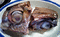 f:id:waxcafe:20061009131859j:image:small f:id:waxcafe:20061009131859j:image:small