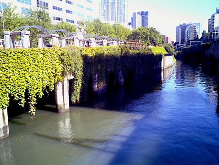 f:id:waxcafe:20061028091756j:image f:id:waxcafe:20061028091756j:image