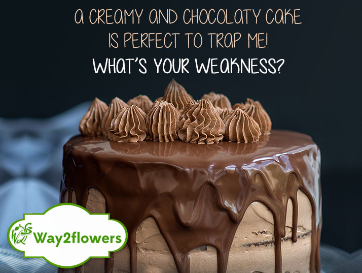 f:id:way2flowers:20171211183037j:plain