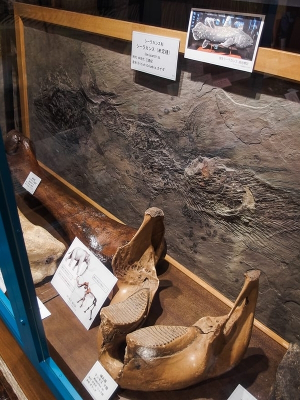 奇石博物館 FILE:6 - マンドク生活Archives