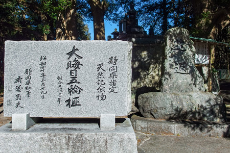 大晦日 五輪の大榧