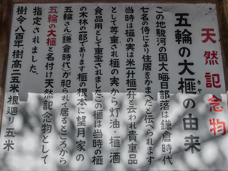 五輪の大榧の由来
