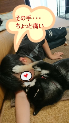 f:id:wayarin:20210624225414j:plain