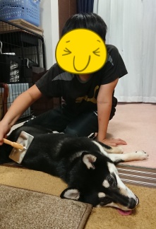 f:id:wayarin:20210627000025j:plain