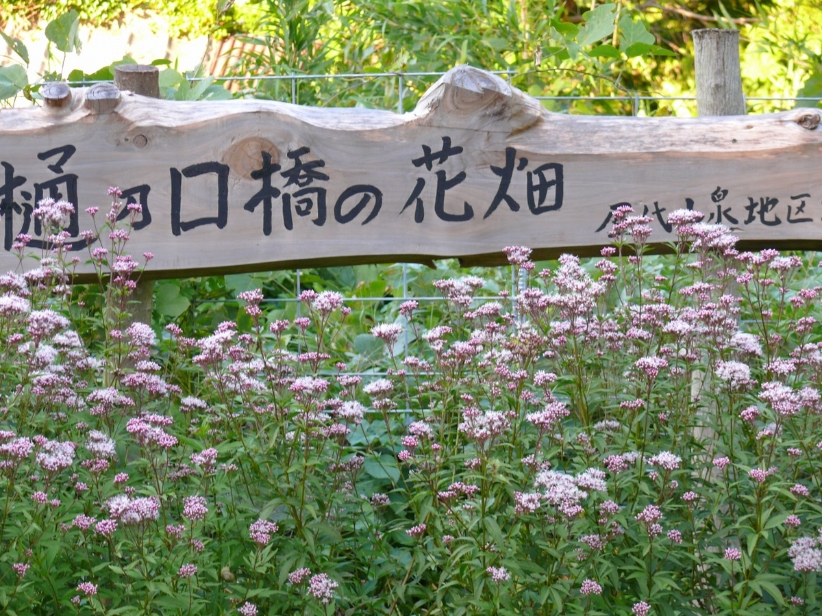f:id:wayayan400:20201216183348j:plain