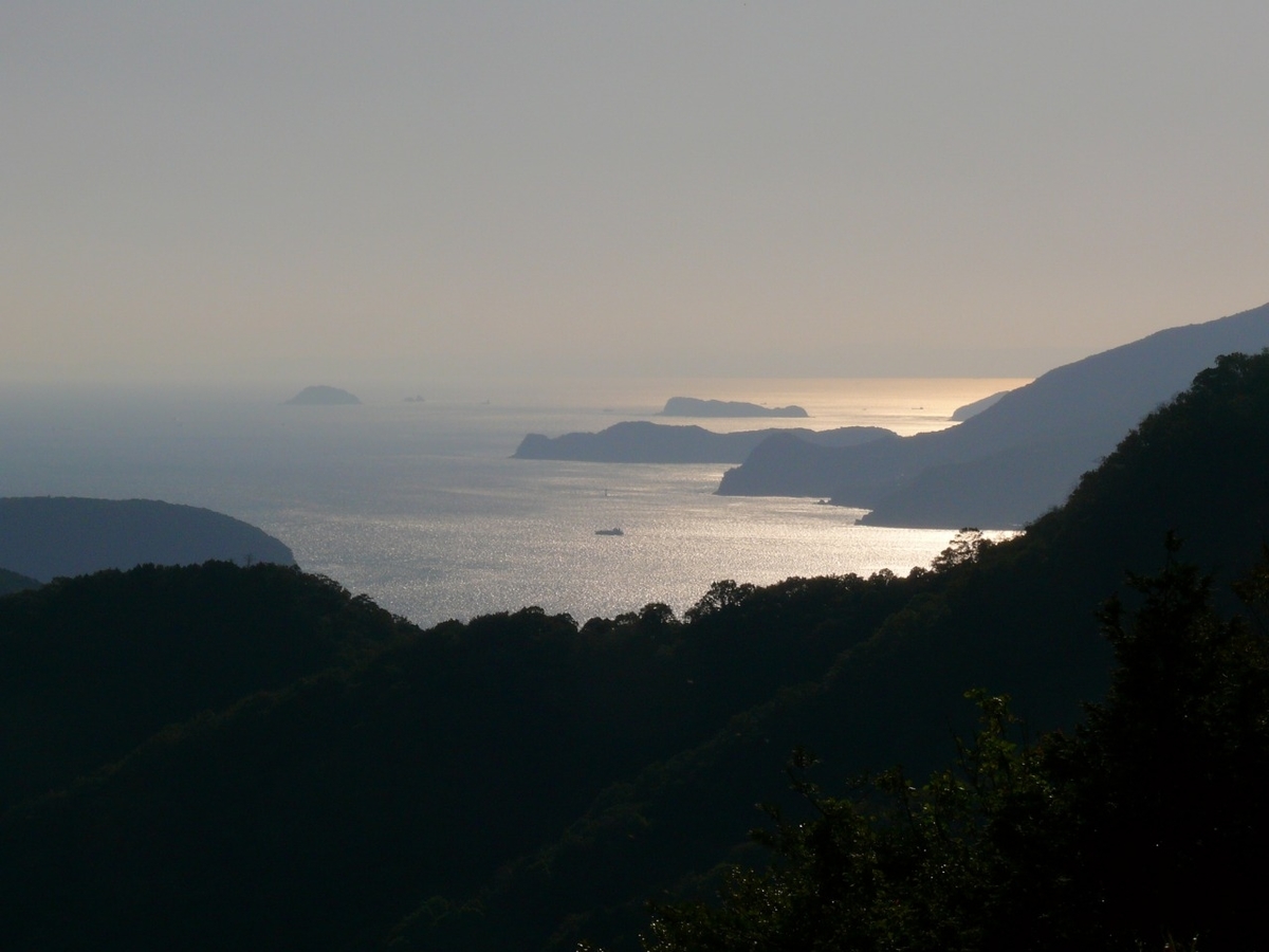f:id:wayayan400:20201216183438j:plain