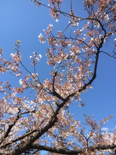 f:id:wayfarer2:20210314101614j:plain:h500