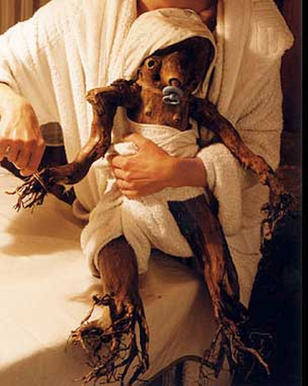 f:id:wayfarer2:20210718190140j:plain:w400