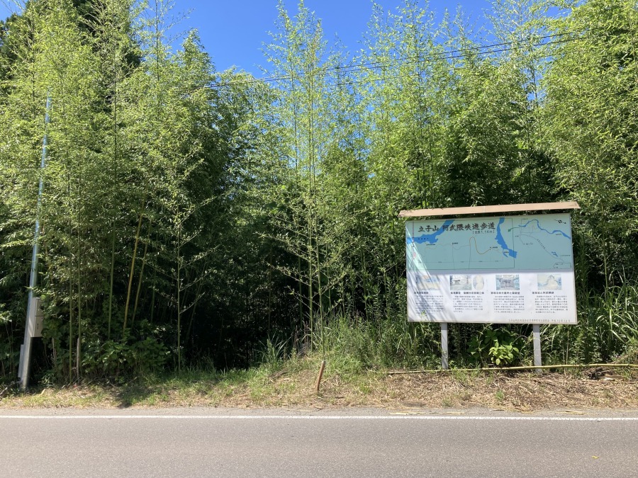 f:id:wayfarer2:20210731200537j:plain:w500