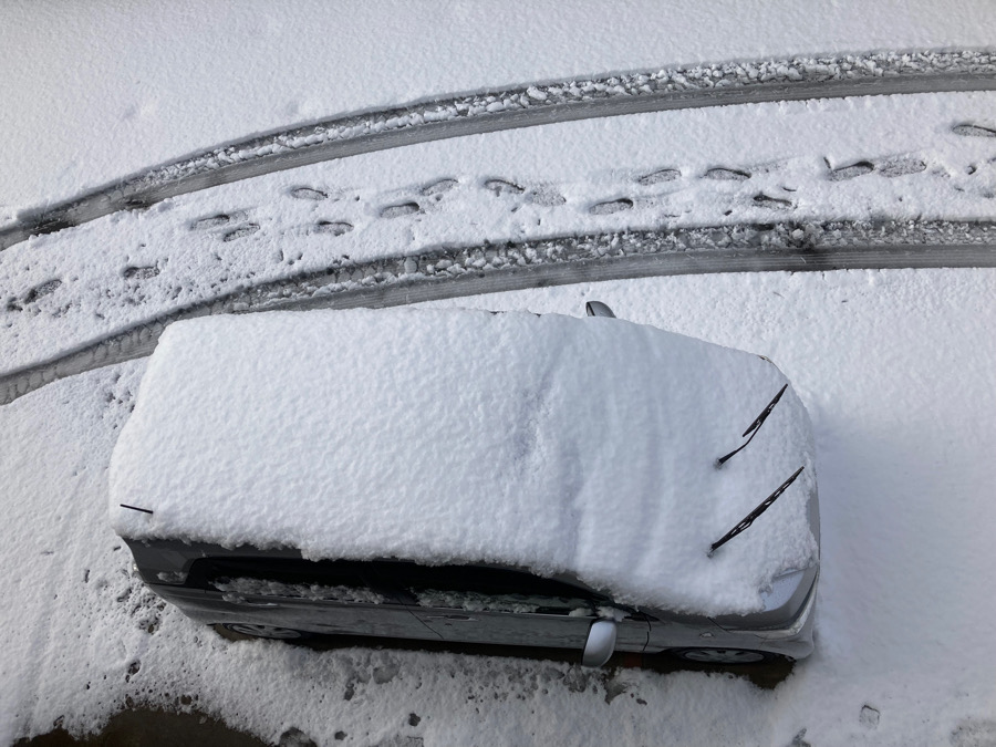 f:id:wayfarer2:20220211101143j:plain:w500