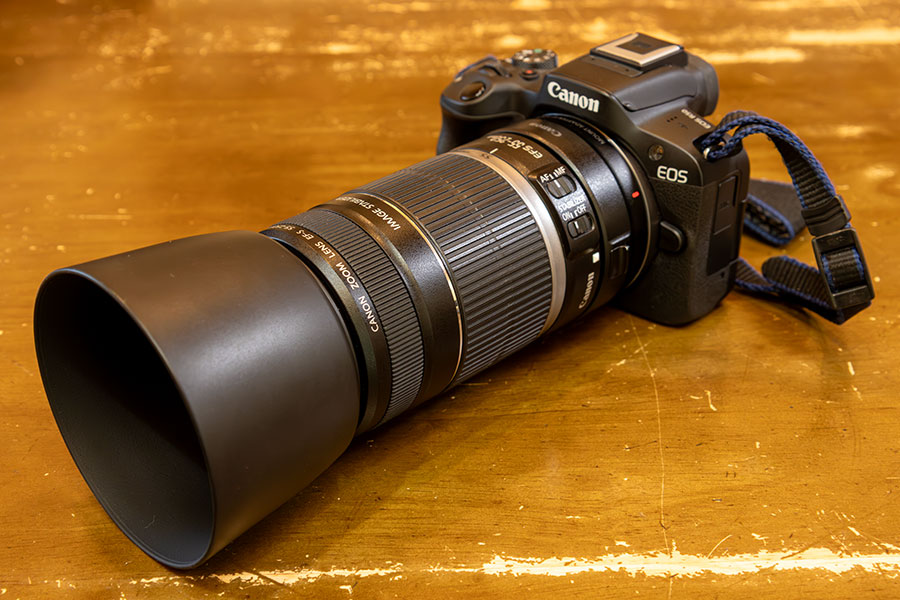 果たしてEF-S55-250mm F4-5.6 IS IIはアタクシに馴染むのか? - ひよこ