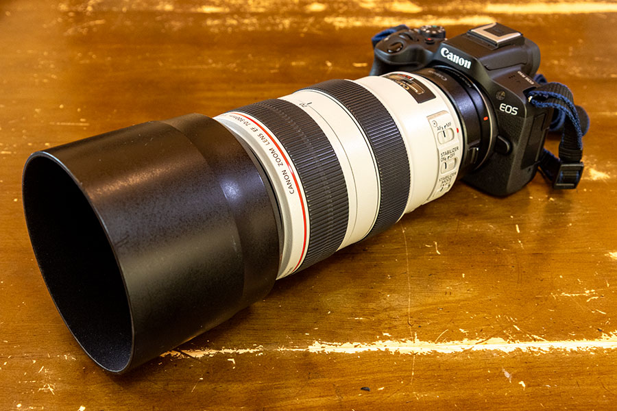 果たしてEF-S55-250mm F4-5.6 IS IIはアタクシに馴染むのか? - ひよこ