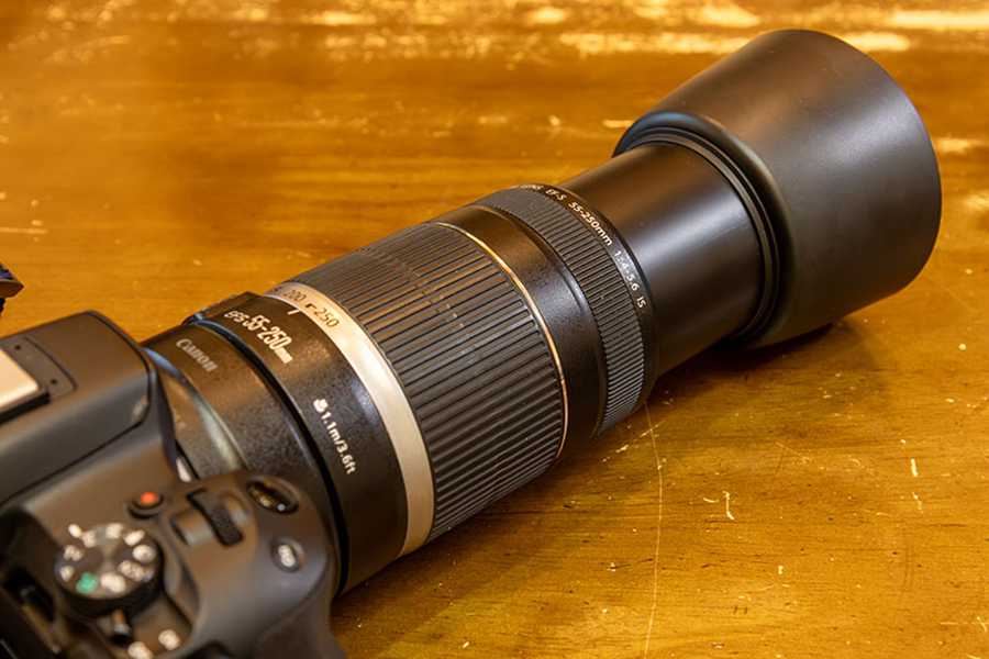果たしてEF-S55-250mm F4-5.6 IS IIはアタクシに馴染むのか? - ひよこ