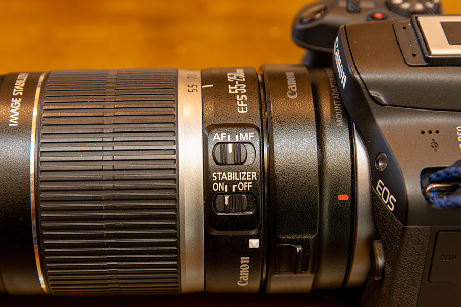 果たしてEF-S55-250mm F4-5.6 IS IIはアタクシに馴染むのか? - ひよこ
