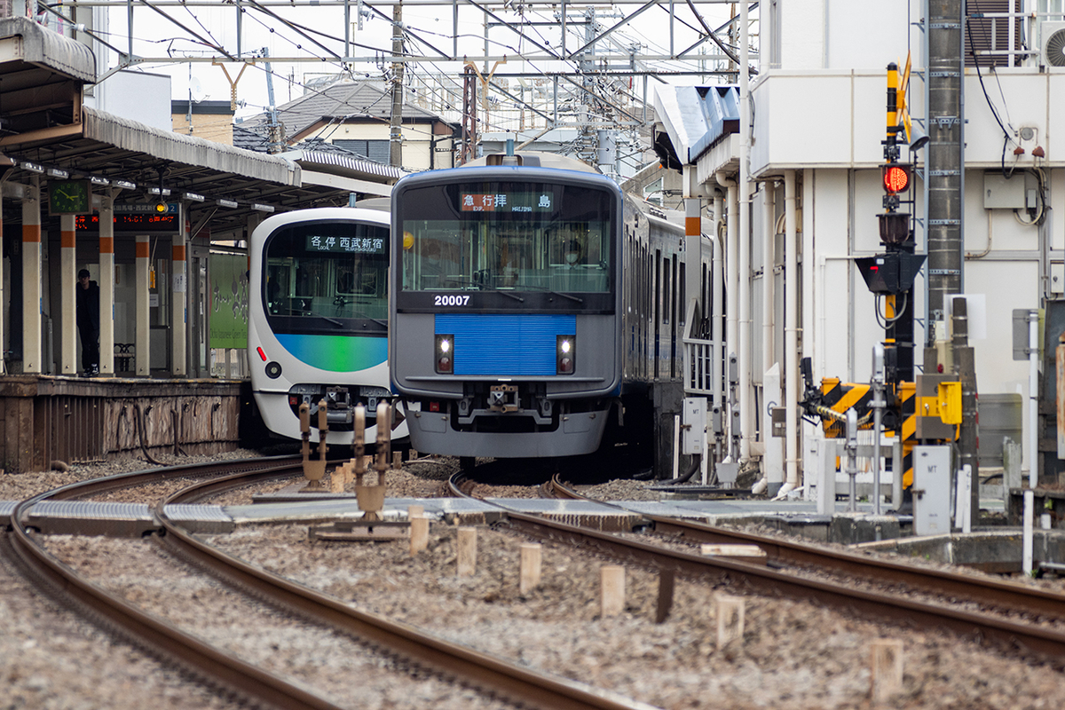 CANON EF50-200mm F3.5-4.5L】骨董AFズームを最新APS-C機で少し