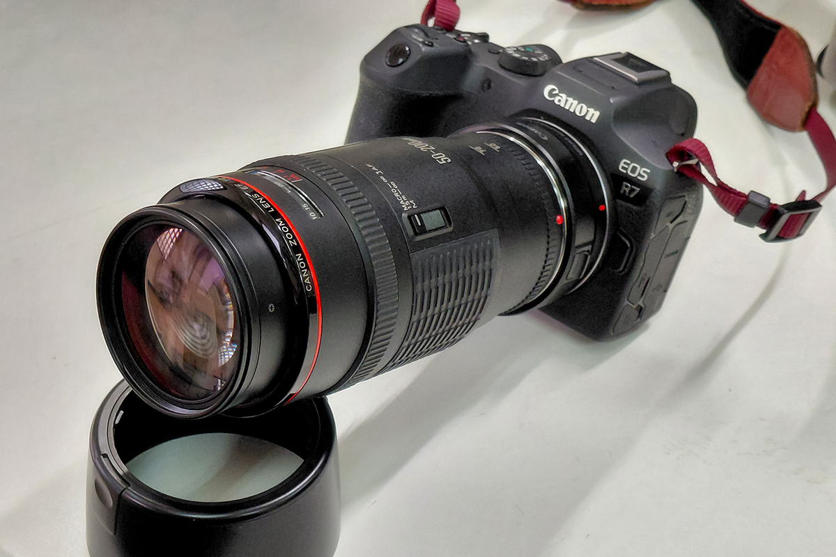 CANON EF50-200mm F3.5-4.5L】骨董AFズームを最新APS-C機で少し