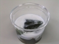 20120616101943