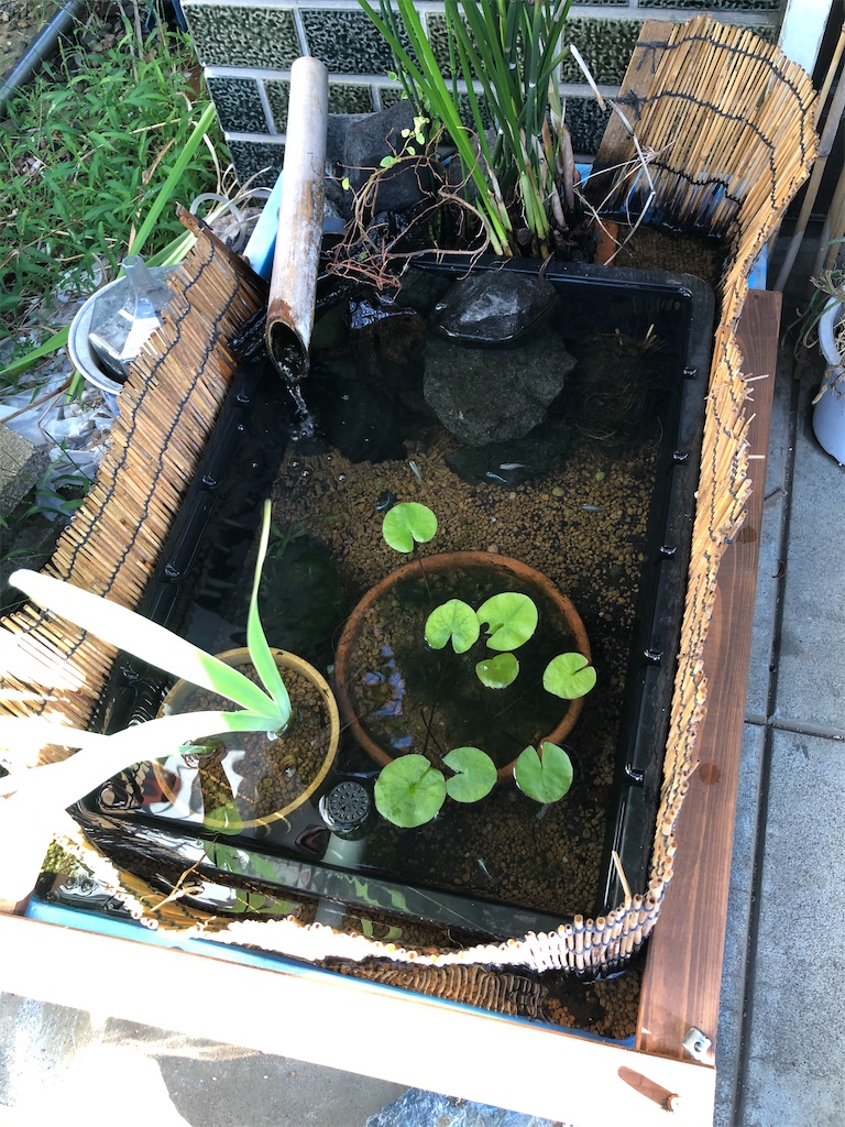 f:id:wazao_souren:20200912091828j:image