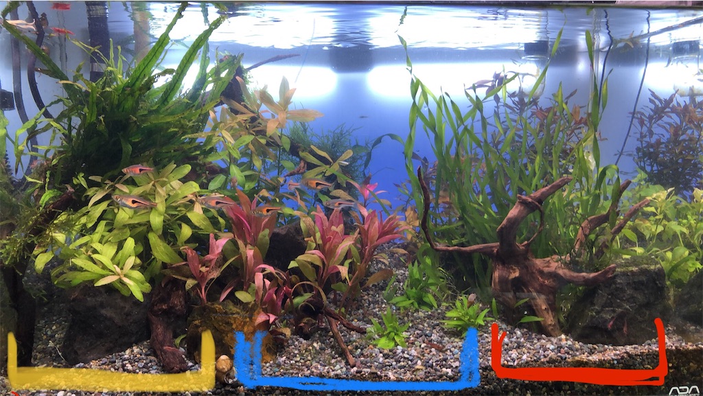 f:id:wazao_souren:20200919195736j:plain