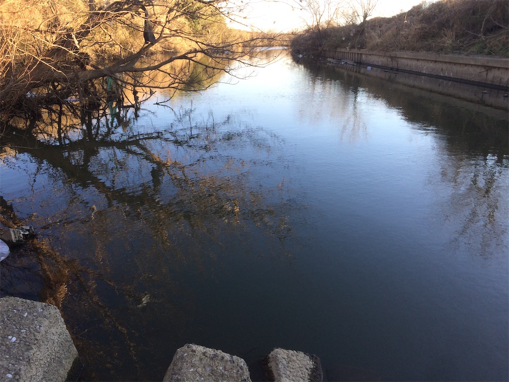 f:id:wazao_souren:20201005201525j:plain