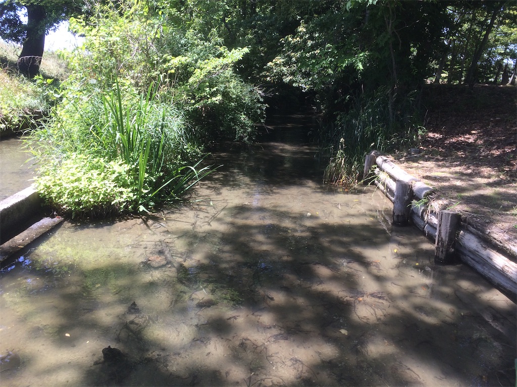 f:id:wazao_souren:20201005201547j:plain