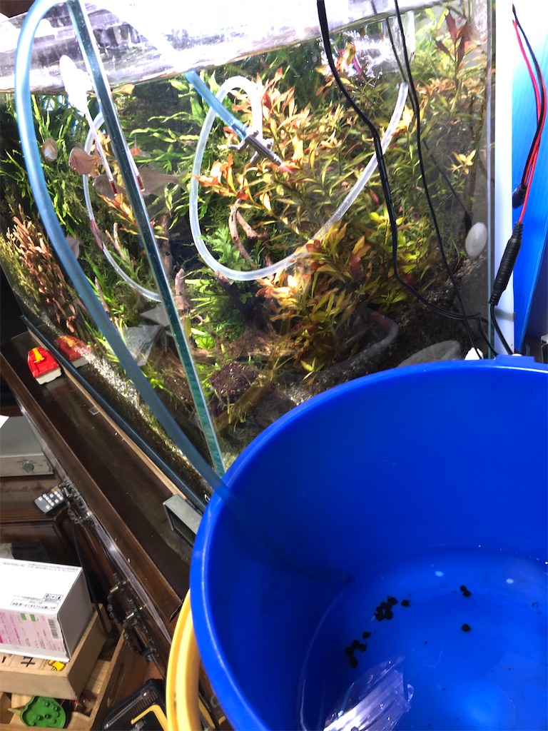 f:id:wazao_souren:20201110201942j:plain