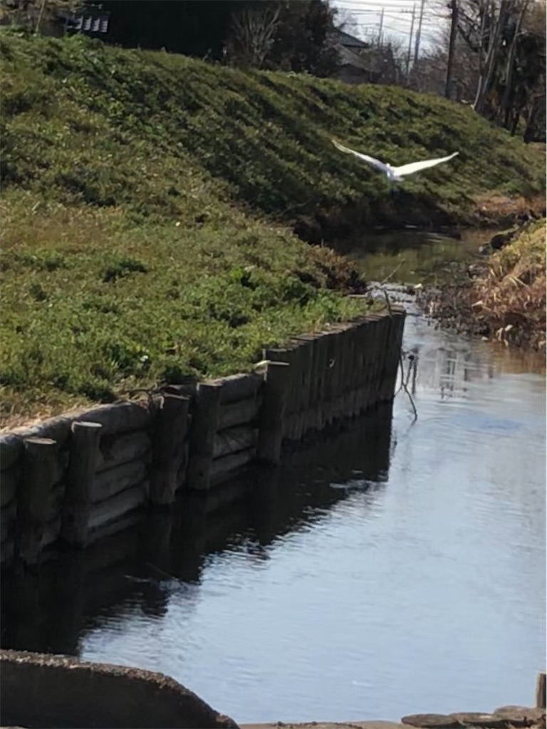 f:id:wazao_souren:20201208211932j:plain