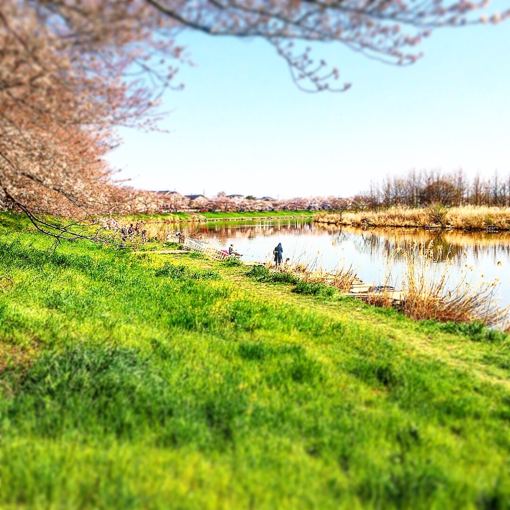 f:id:wazao_souren:20201208220749j:plain