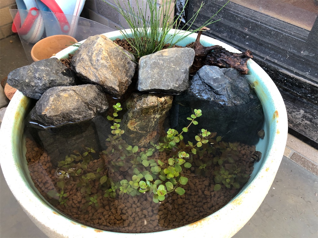 f:id:wazao_souren:20201212213546j:plain