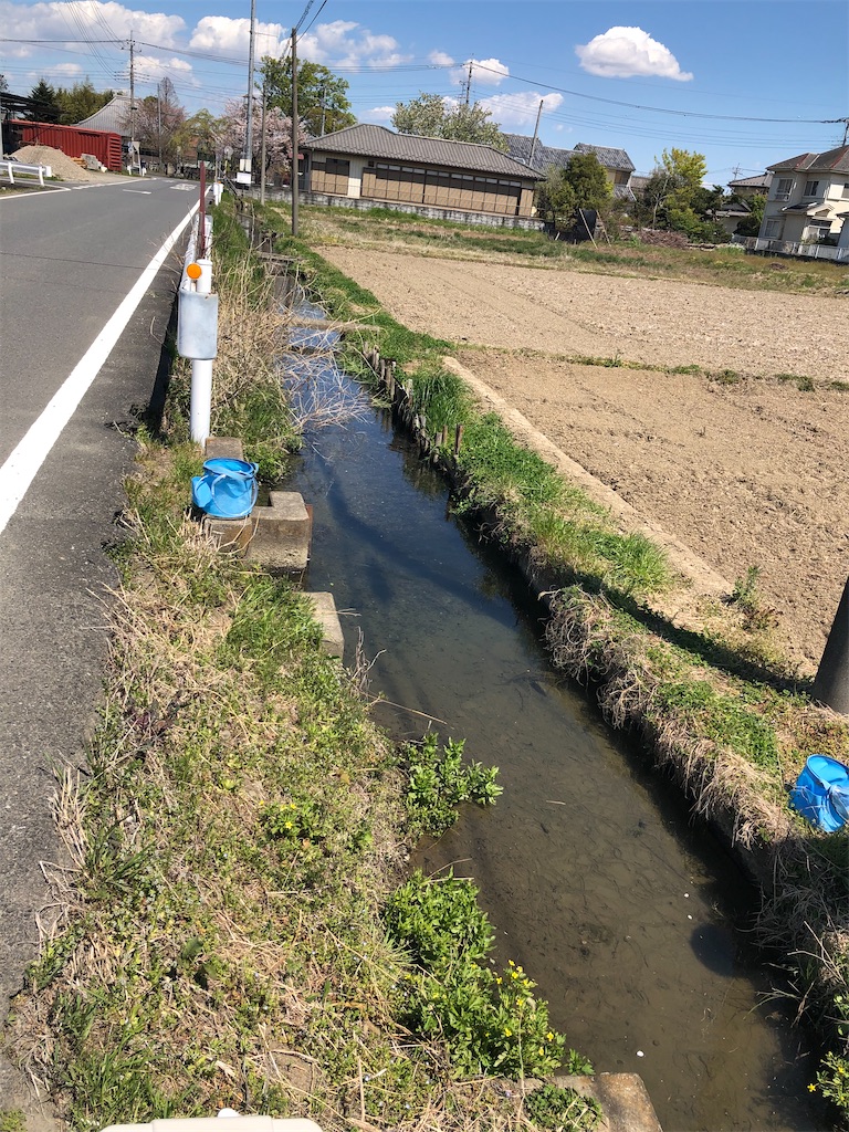 f:id:wazao_souren:20201216212027j:plain