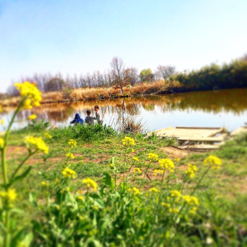 f:id:wazao_souren:20201216212325j:plain