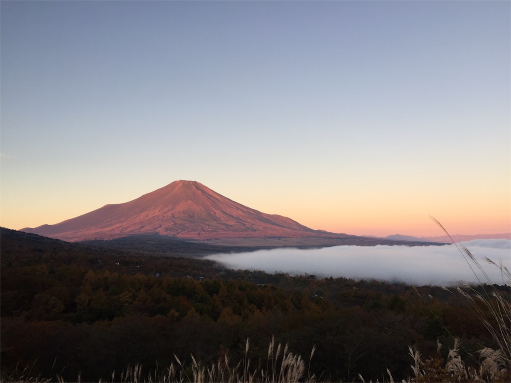 f:id:wazipoyo:20180217233955j:image f:id:wazipoyo:20180217233955j:image