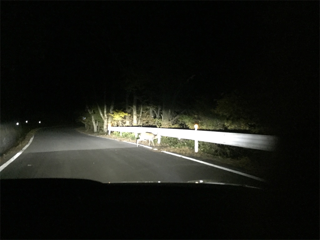 f:id:wazipoyo:20180217235347j:image f:id:wazipoyo:20180217235347j:image