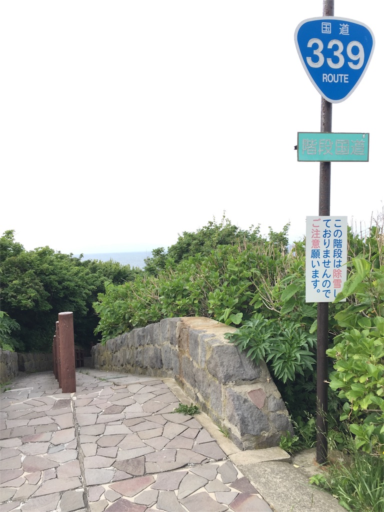 f:id:wazipoyo:20180622153423j:image f:id:wazipoyo:20180622153423j:image