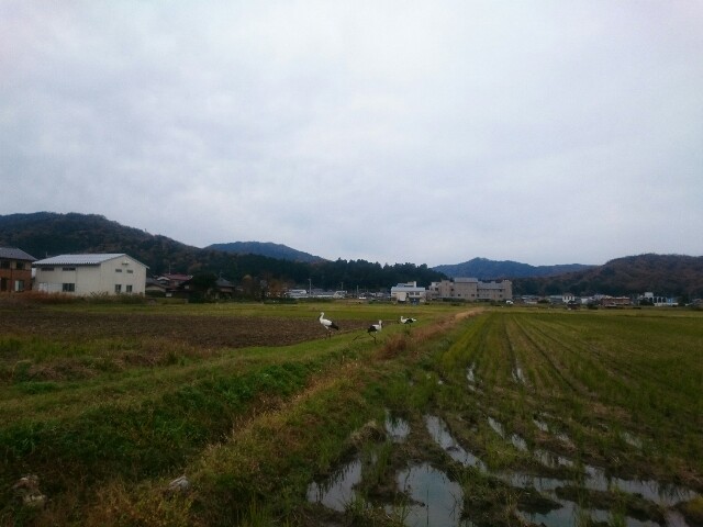 f:id:wb_sanwa:20171122145722j:image f:id:wb_sanwa:20171122145722j:image