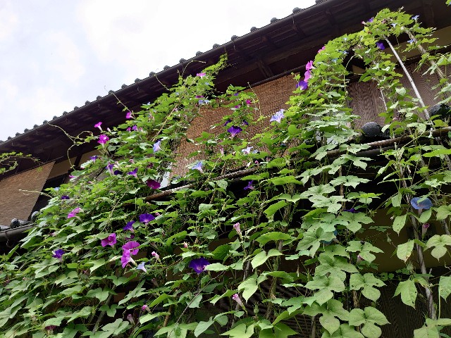 f:id:wb_sanwa:20210817092428j:image
